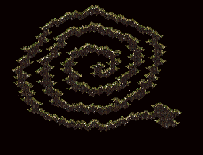 111.png