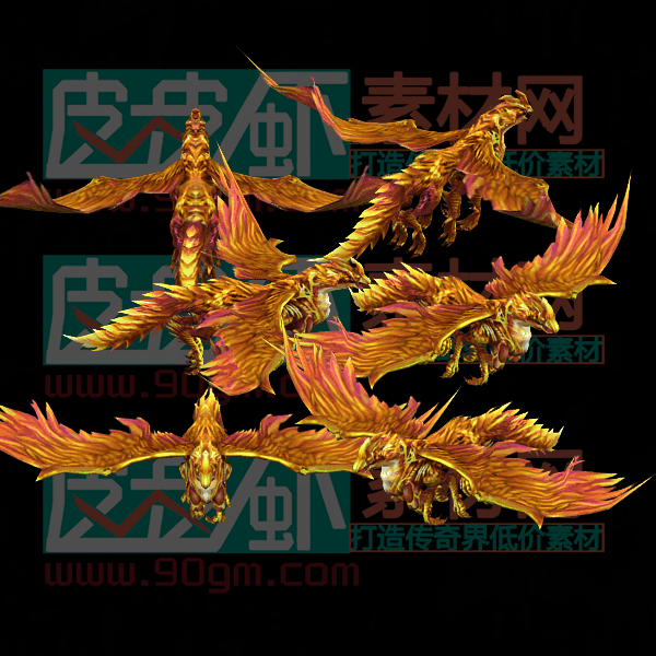 宠物代号079