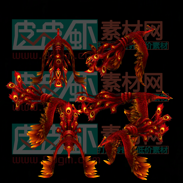 宠物代号078
